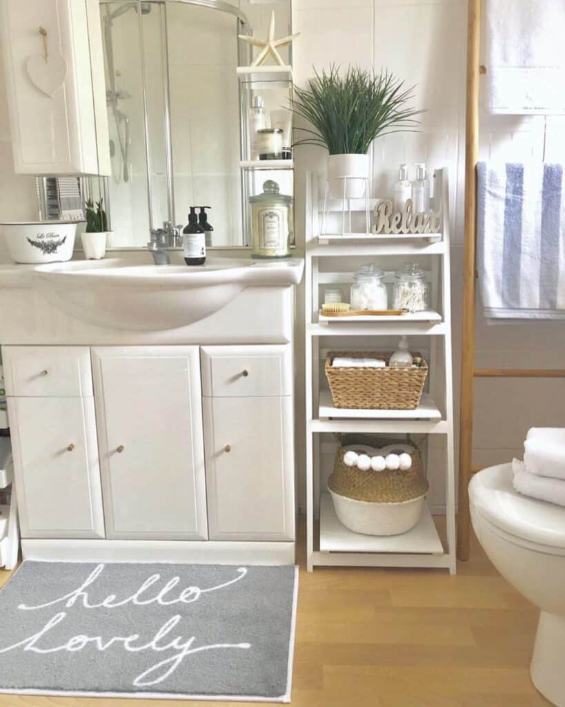 Small Bathroom Storage Ideas