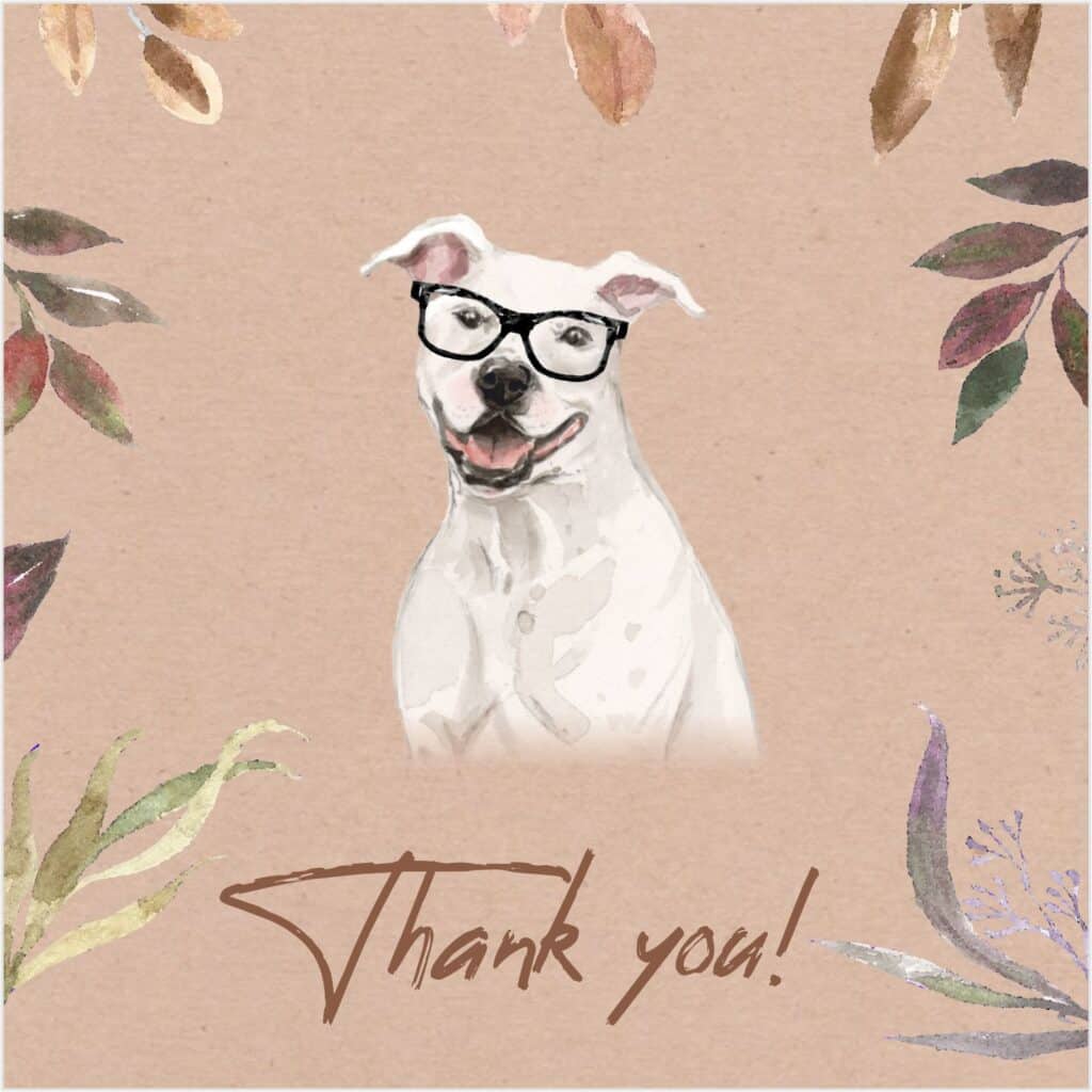 Free Printable Thank You Cards