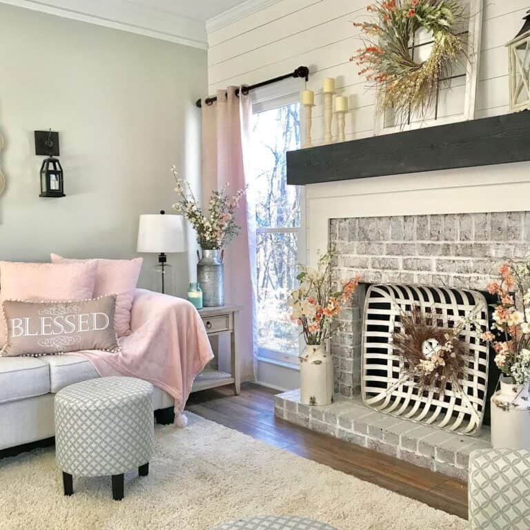 Light Pink Accessories in Shiplap Living Room