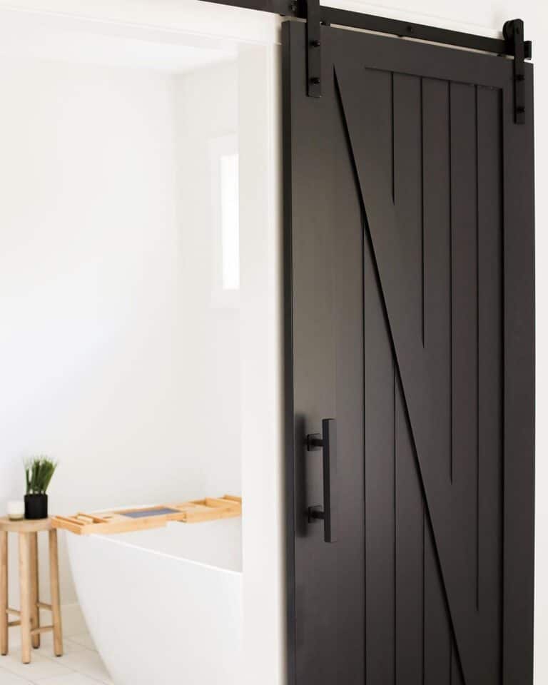 Bathroom with Black Door and White Bathtub