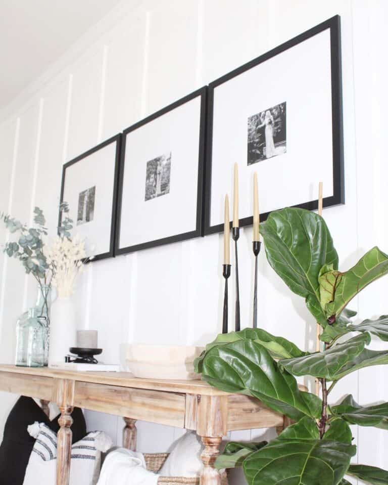 Matte Frames Against Board And Batten