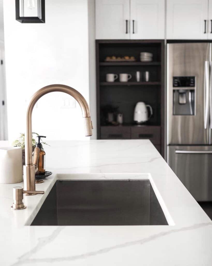 Stainless Steel Sink with Brass Gooseneck Faucet