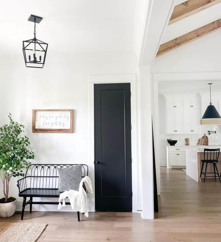 Black Closet Door with White Trim