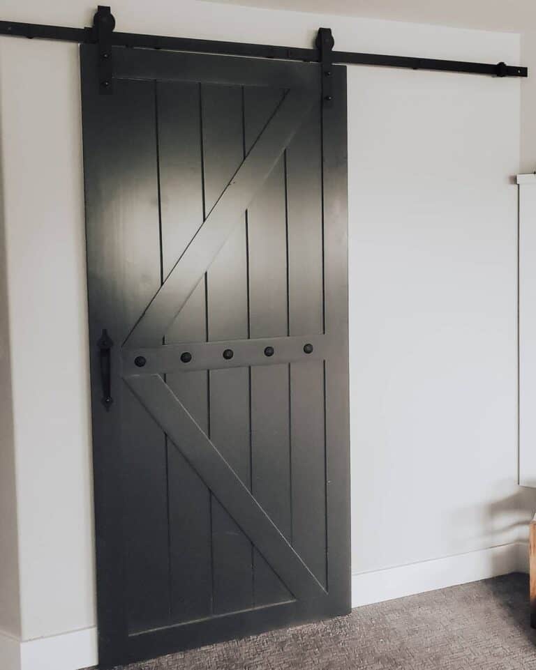 Black Interior Barn Door with Black Track