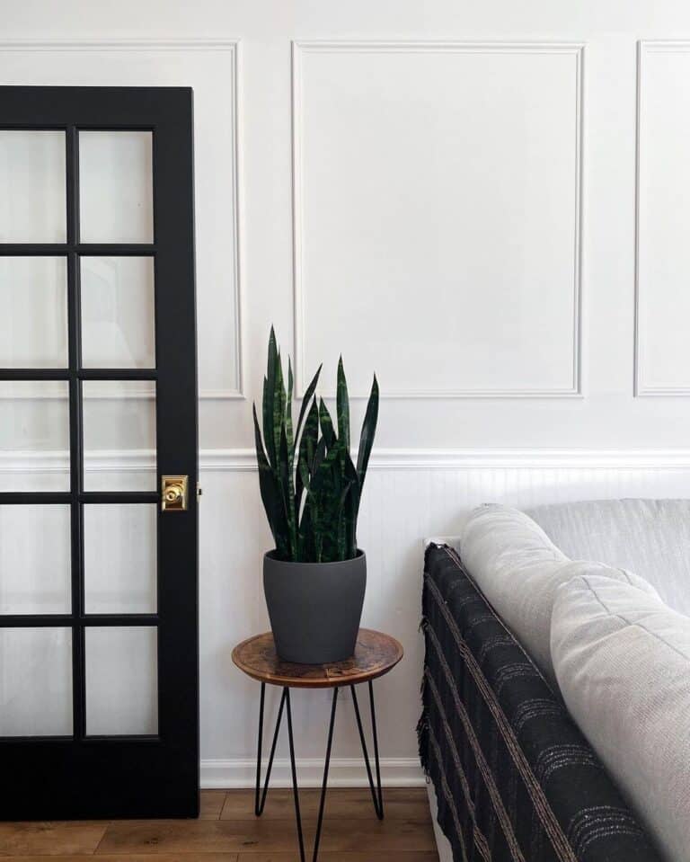 Black Interior French Door with Brass Knob