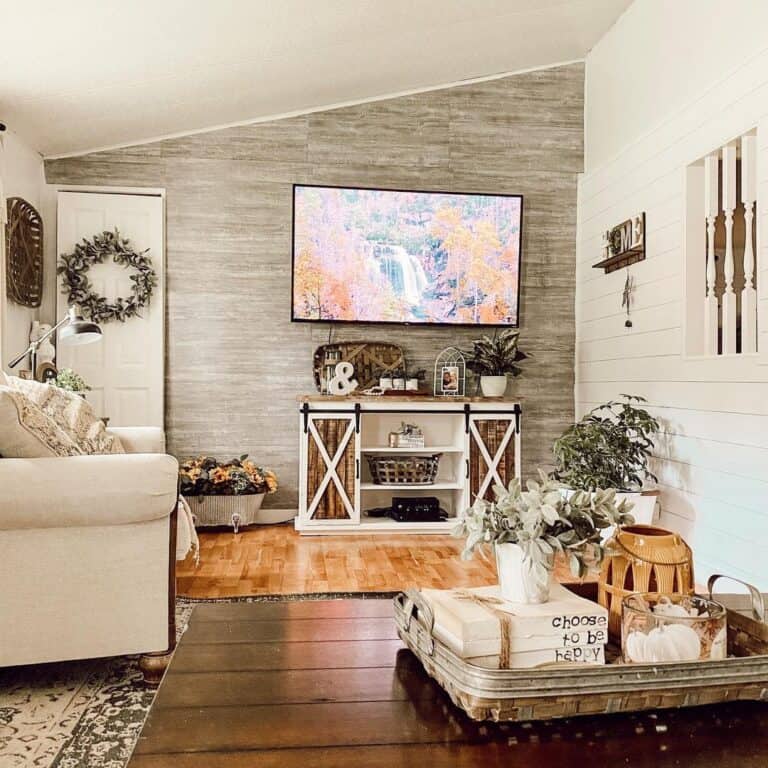 Narrow Living Room With TV and Shiplap Accent Wall