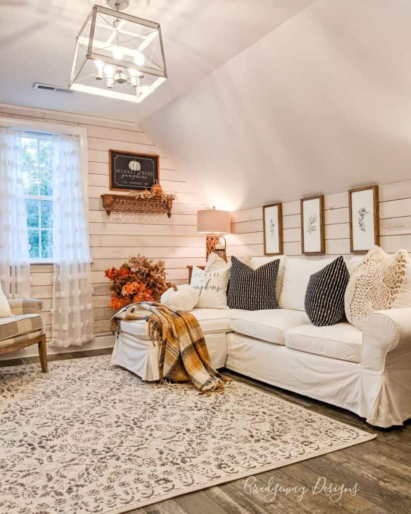 Area Rug for Farmhouse Living Room