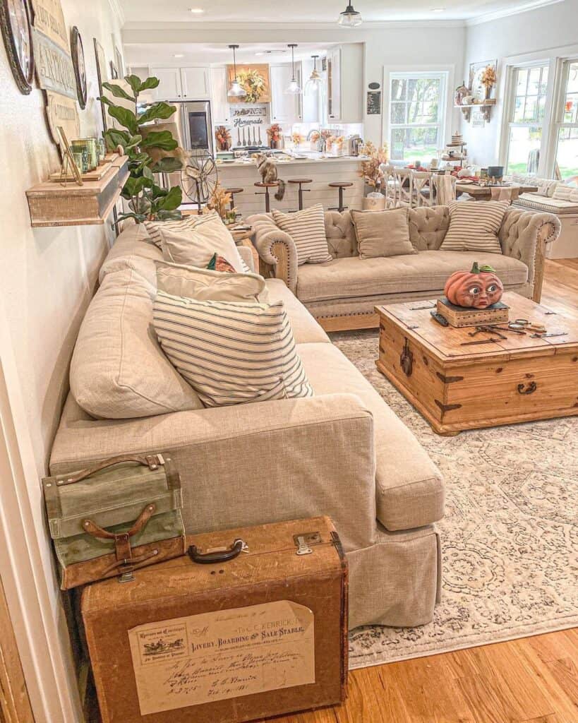 Living Room with Farmhouse Area Rug