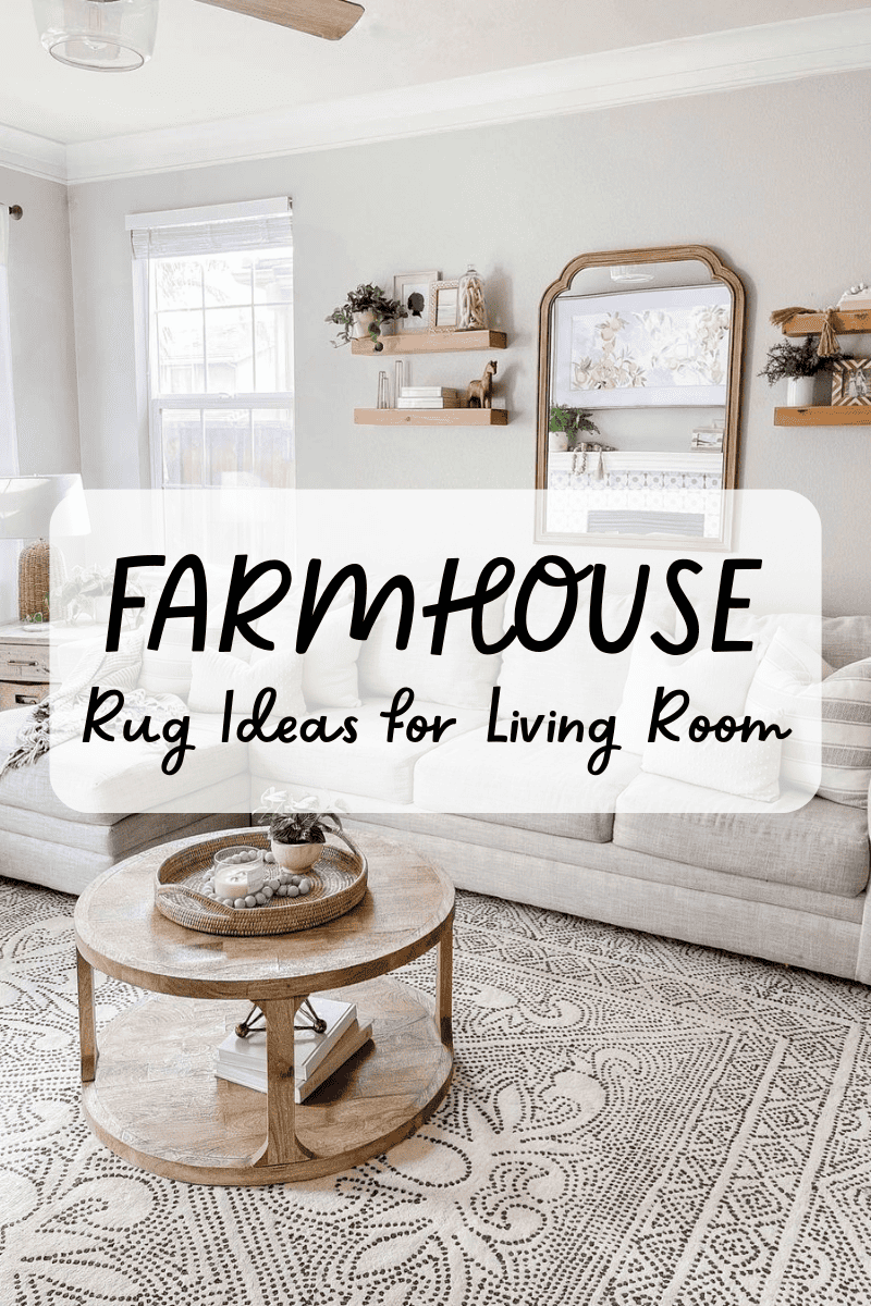 37 Farmhouse Rug Ideas for Living Room You Can't Live Without