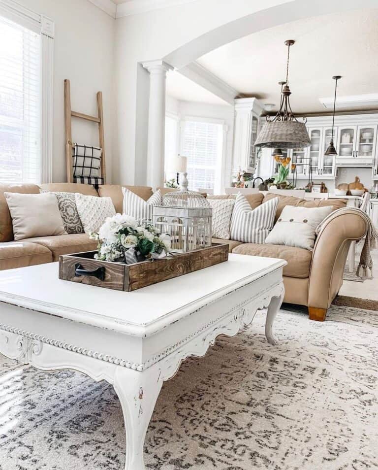 White and Gray Farmhouse Living Room Area Rug