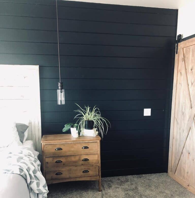 Black Shiplap Bedroom Accent Wall