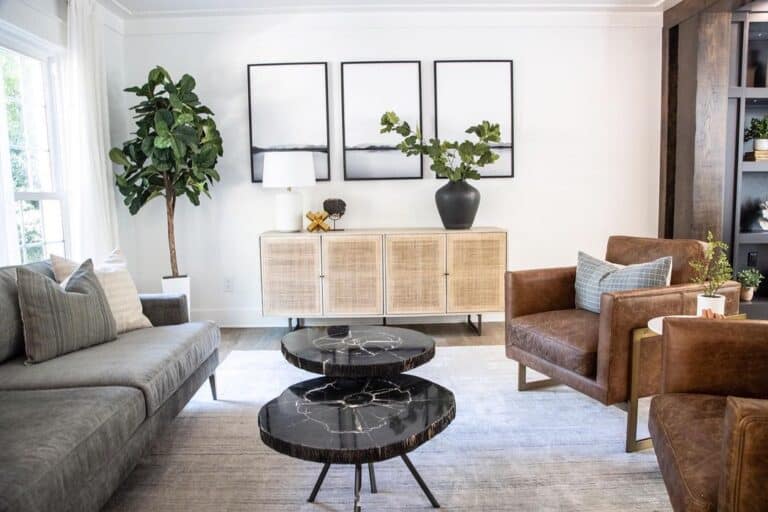 Brown Leather Chairs for Living Room