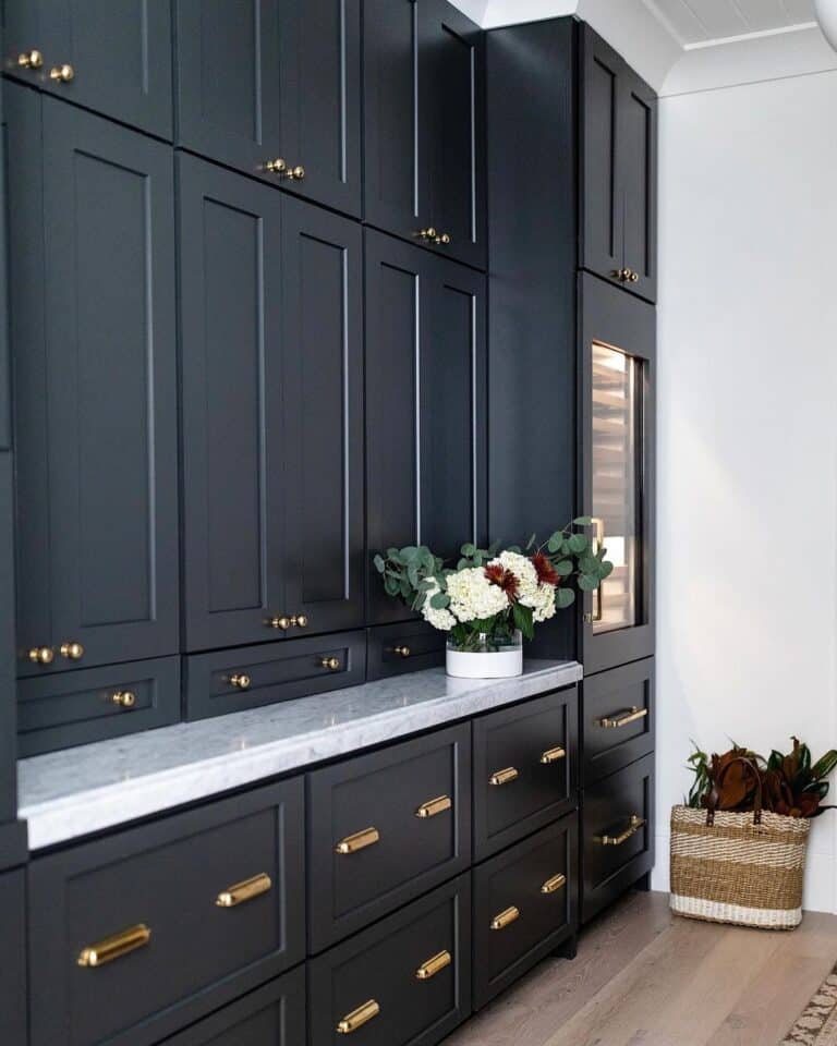 Black Cabinets with Gold Knobs and Pulls