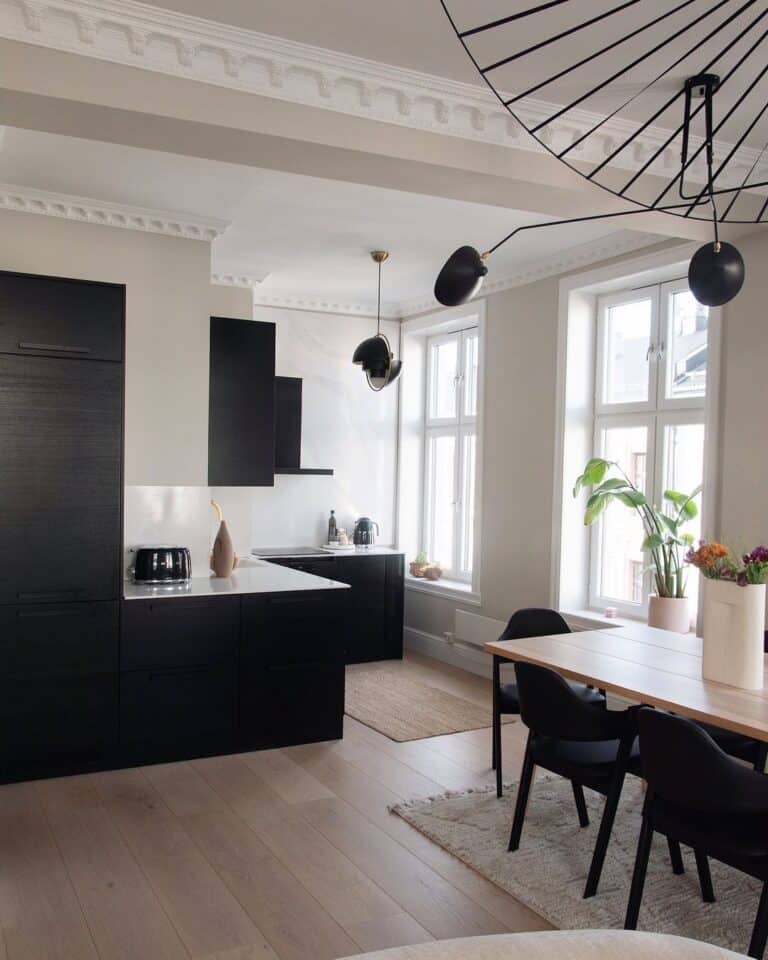 Black Cabinets with Light-Colored Walls