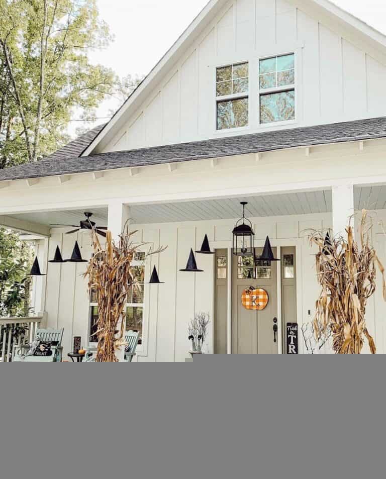Gray Shiplap Ceiling for White Porch