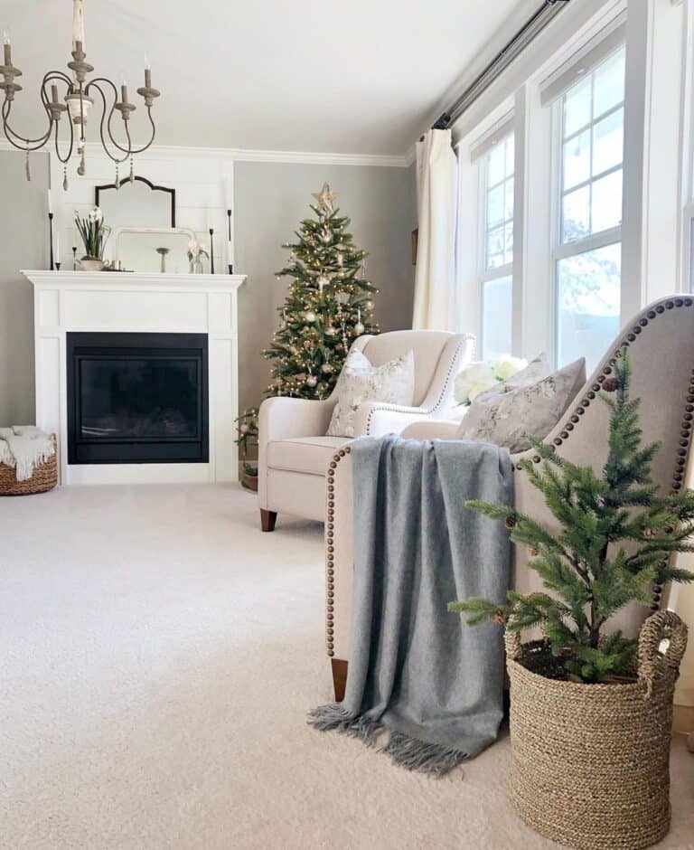 Traditional Christmas Tree and Christmas Throw