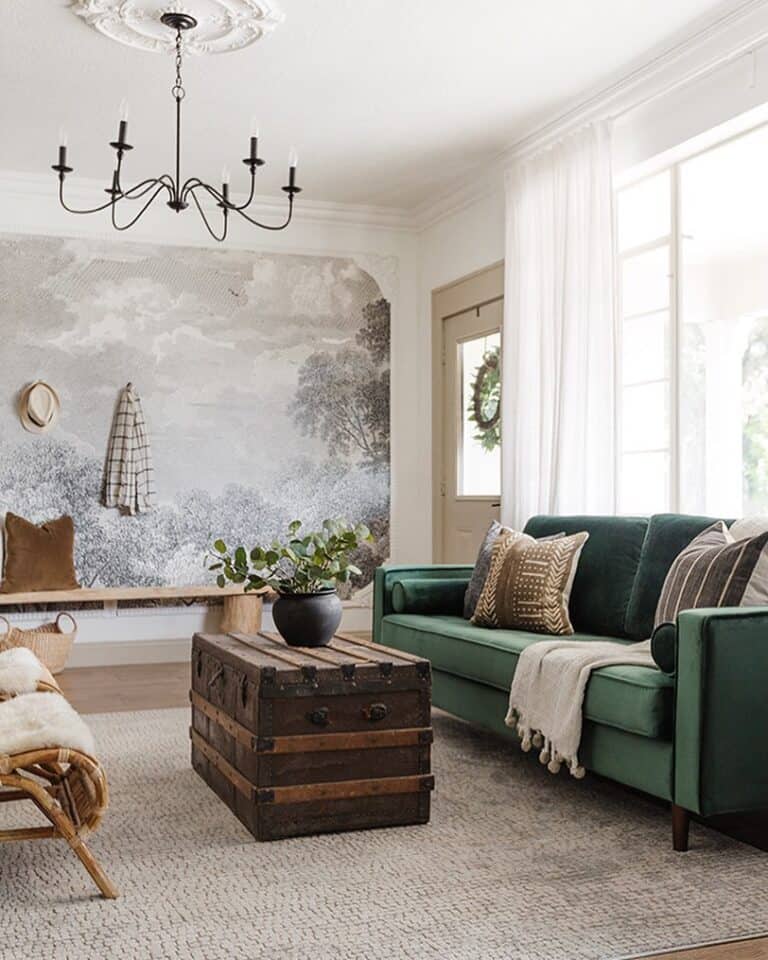 Traditional Meets Modern Living Room