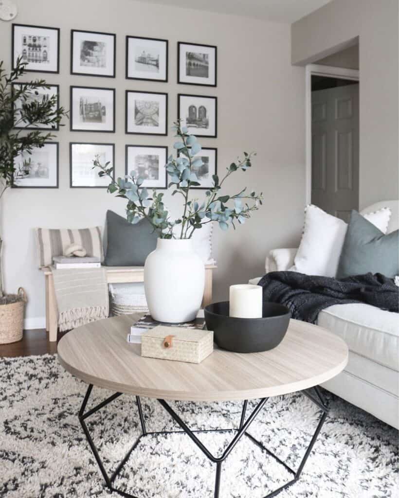 White and Gray Living Room Rug