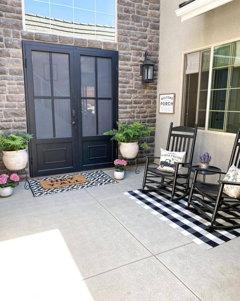 Black Double Front Doors with Glass Panels