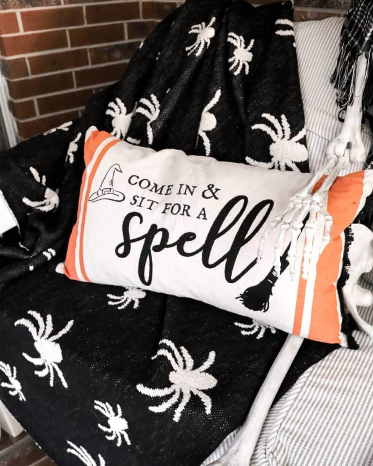 Black Throw with Halloween Pillow