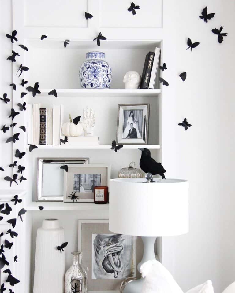 Black and White Bookcase Decorations