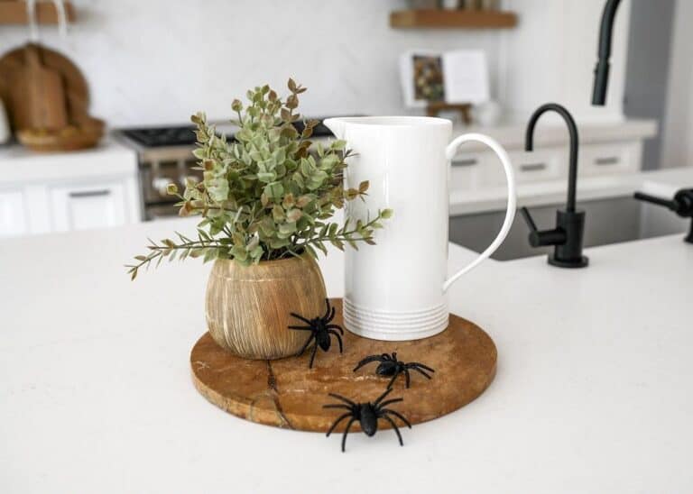 Countertop Spider Halloween Decoration