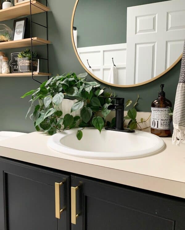 Deep Green Bathroom Walls with Large Brass Handles Soul & Lane