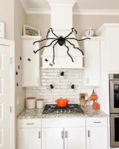 Giant Spider On Kitchen Hood Vent