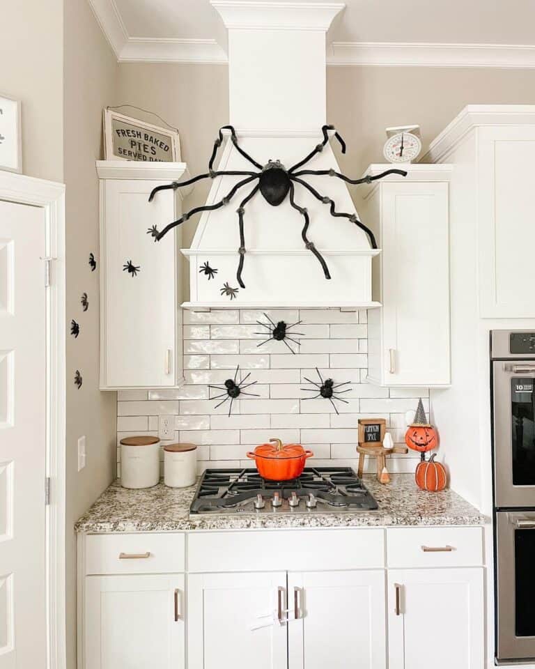 Giant Spider On Kitchen Hood Vent
