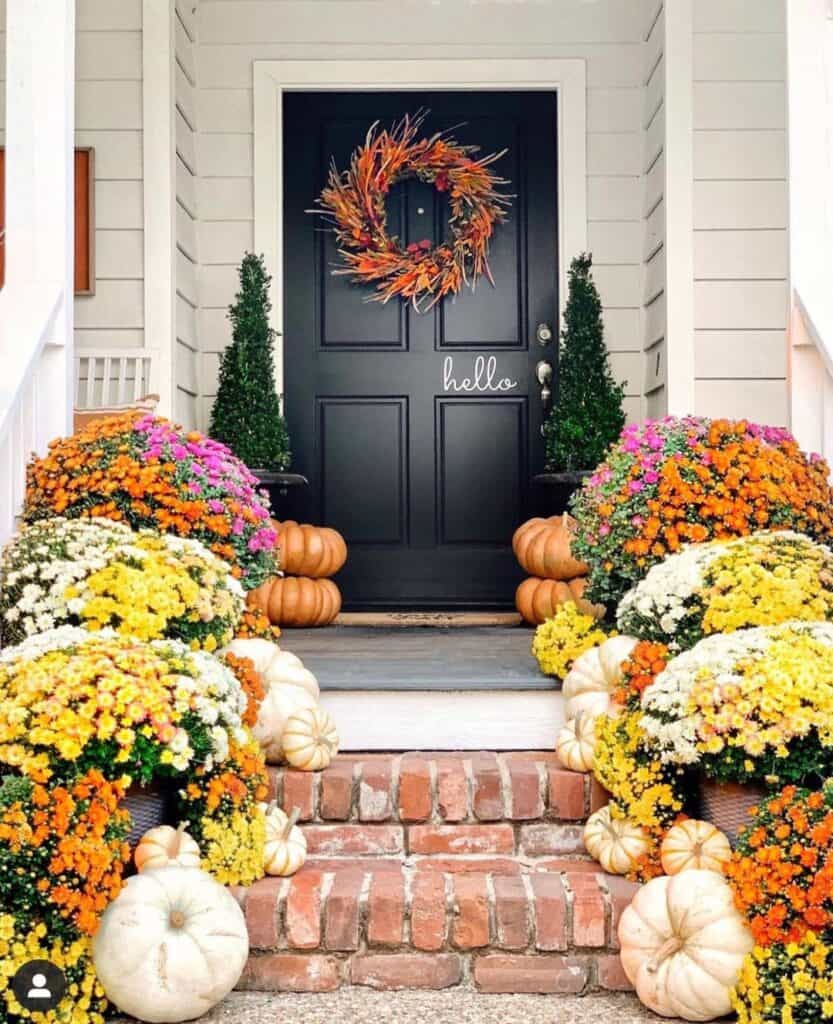 33 Incredible Front Door Plants to Beautify Your House