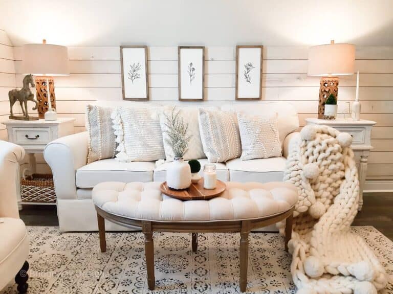 Shiplap Living Room With Throw Pillows For a Beige Couch