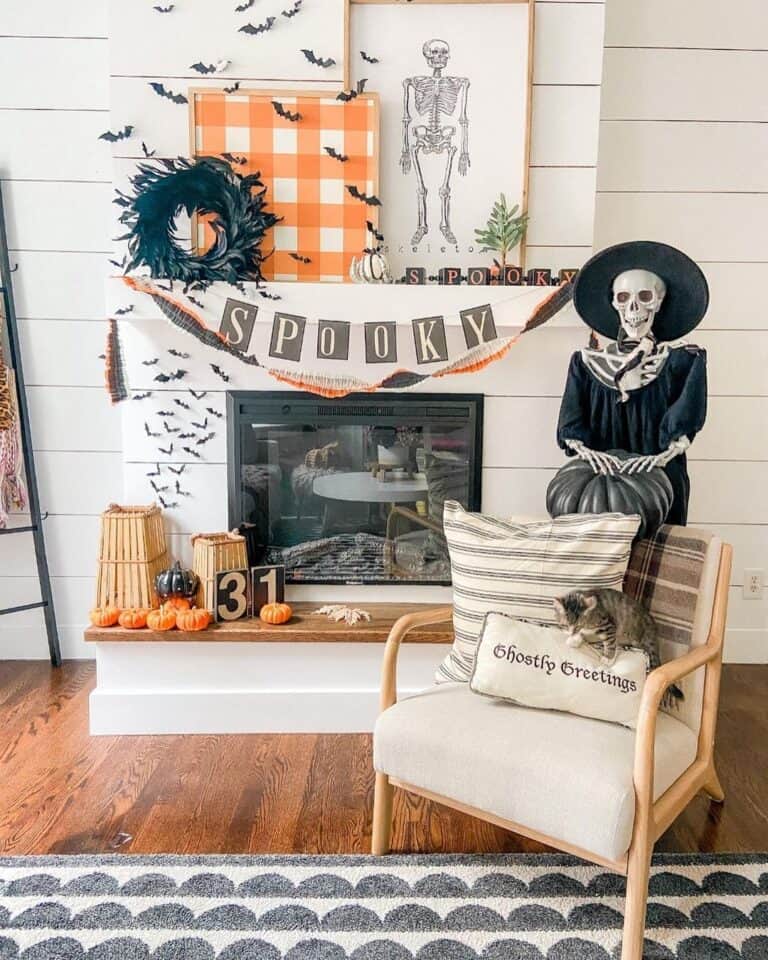 Skeleton in Black Witch's Clothing as a Halloween Decoration