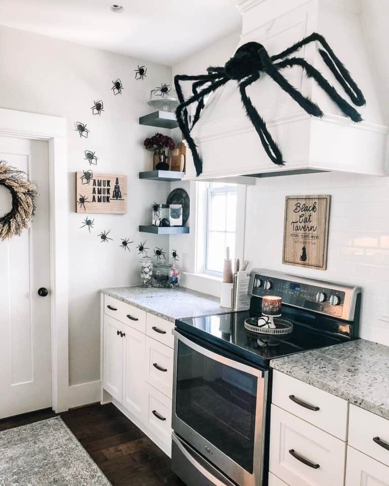 Spider Kitchen Decor