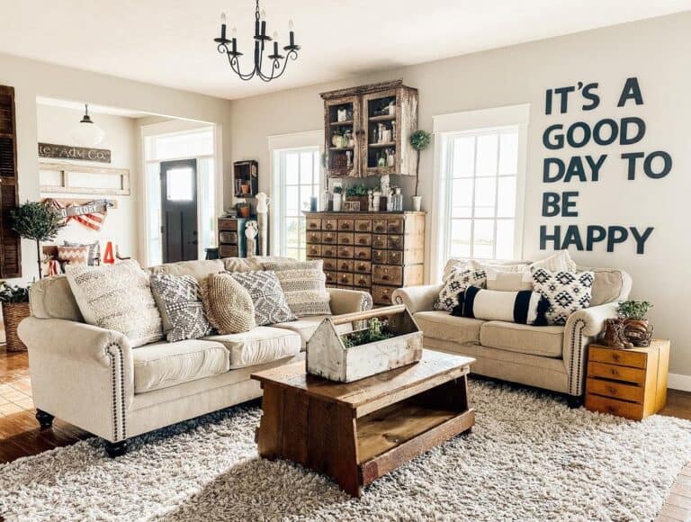 Two Beige Couches with Assorted Throw Pillows