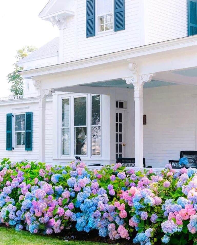 Vibrant Flowers in Front of White Porch