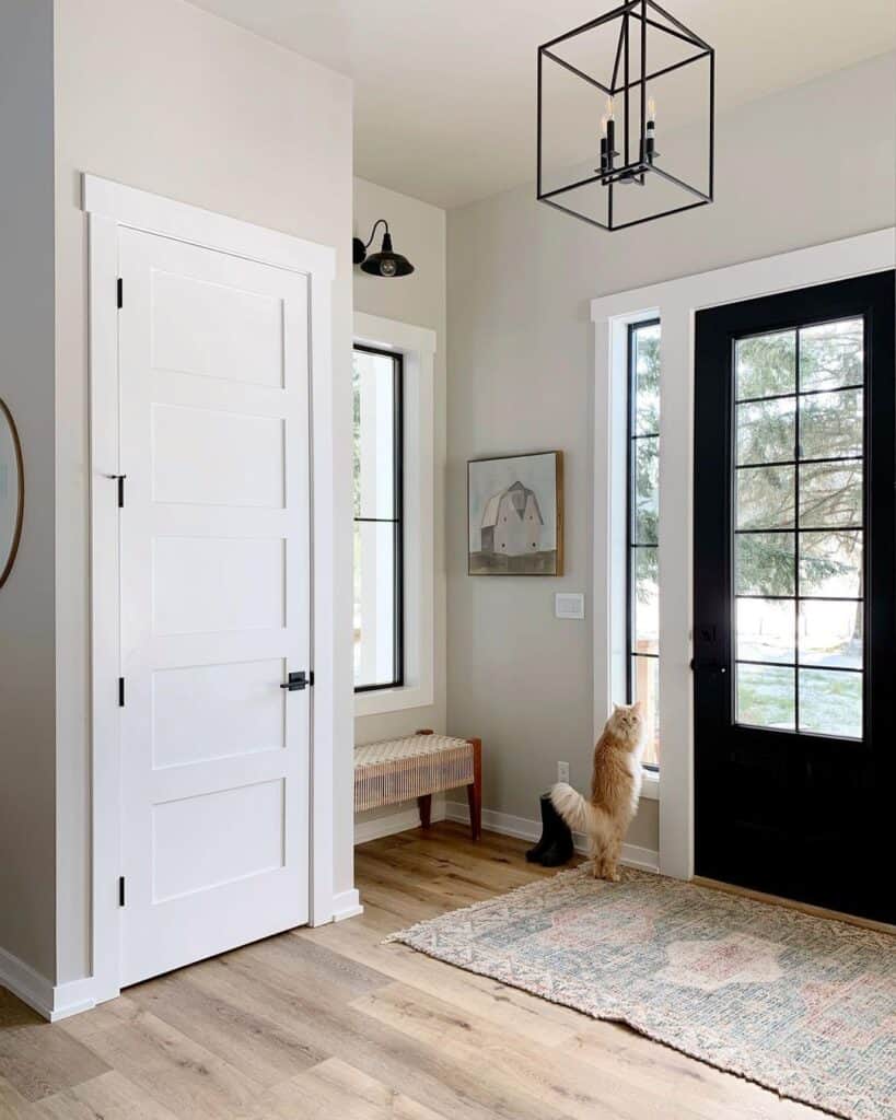 5 Panel Closet Door in Entryway