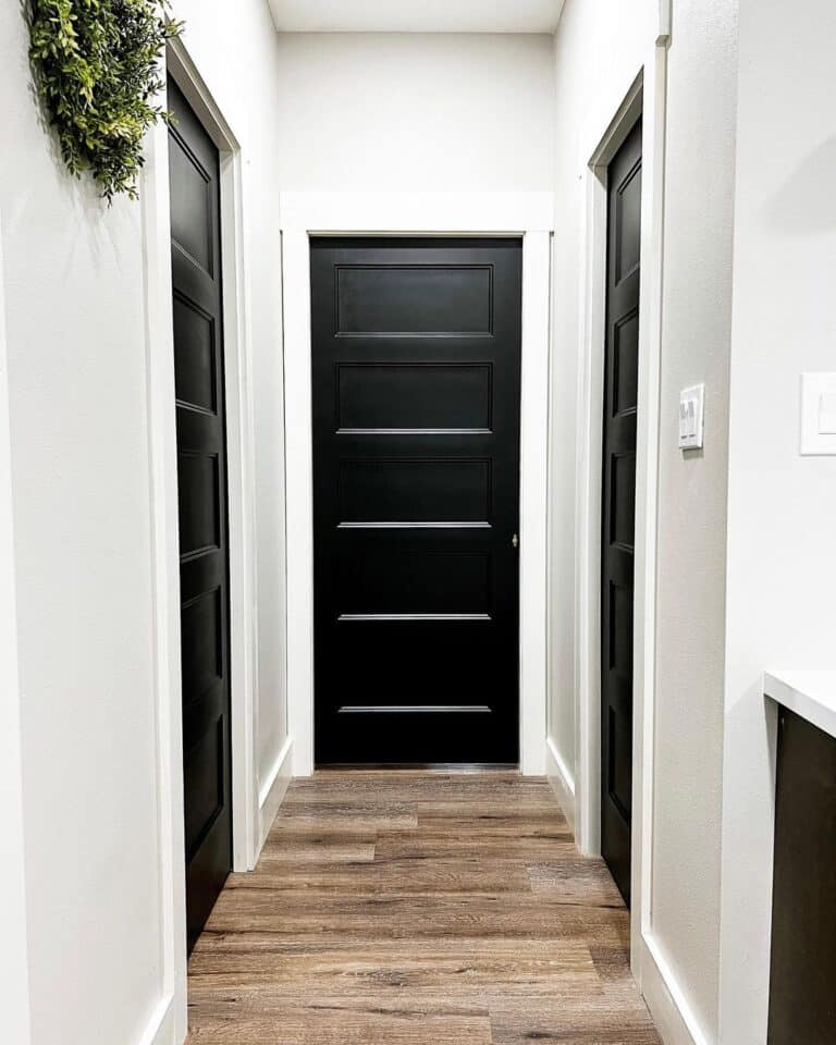 Black 5 Panel Interior Doors in Hallway