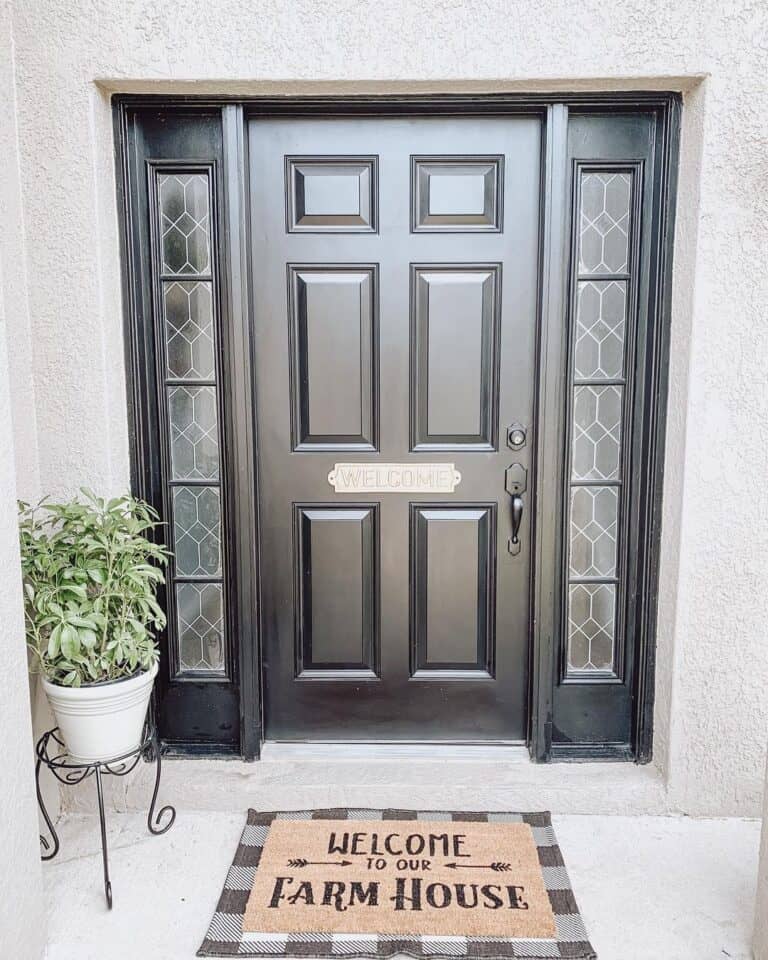 Black Hardware on Black 6-Panel Front Door with Sidelights