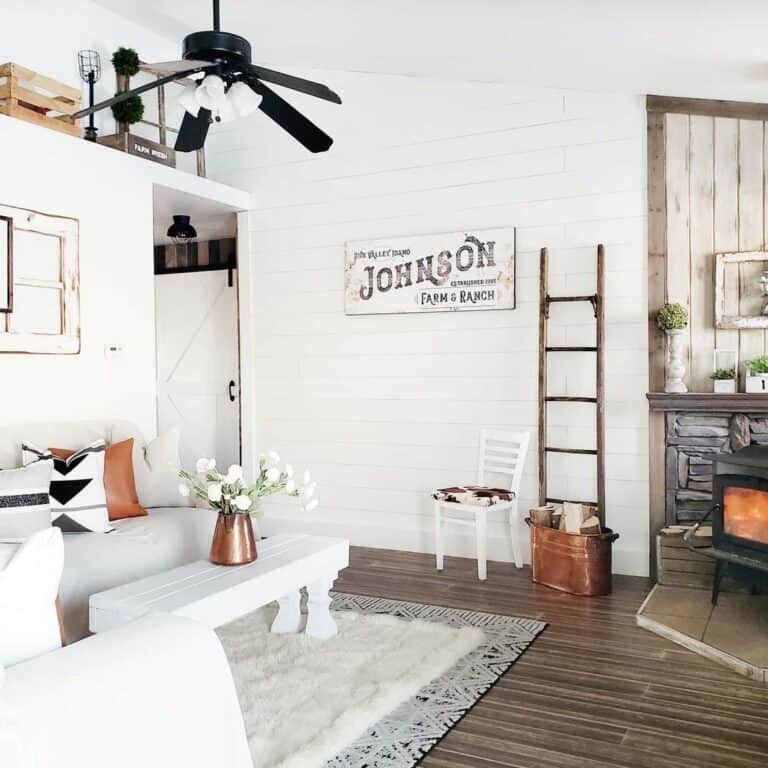 Black Living Room Ceiling Fan with Light