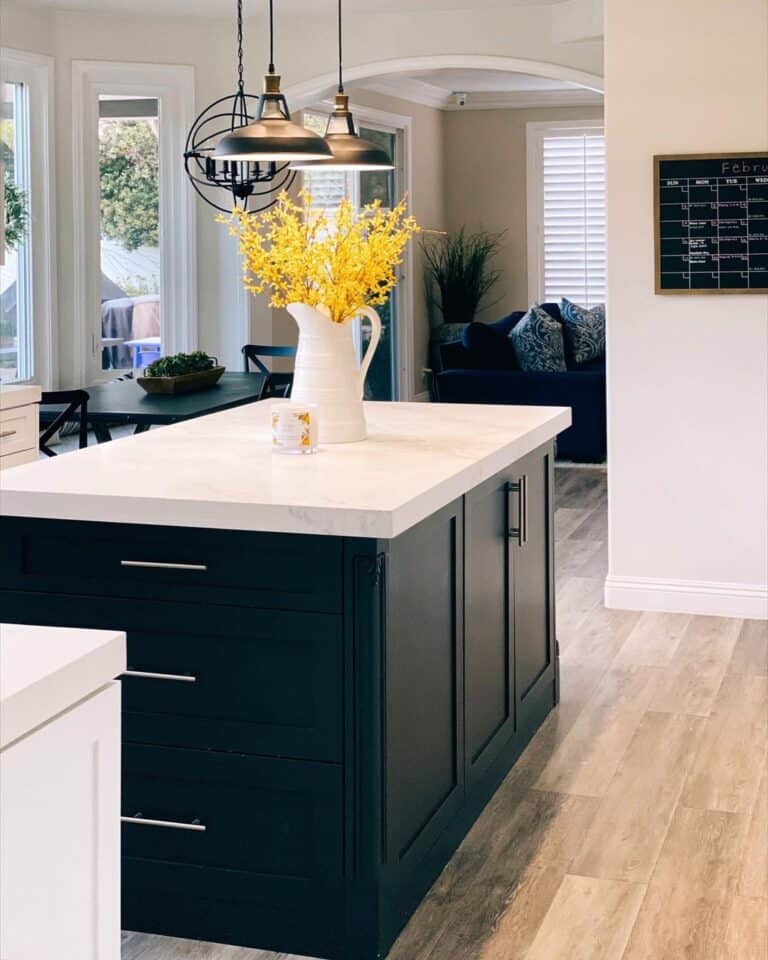 Black and Yellow Kitchen Décor Ideas