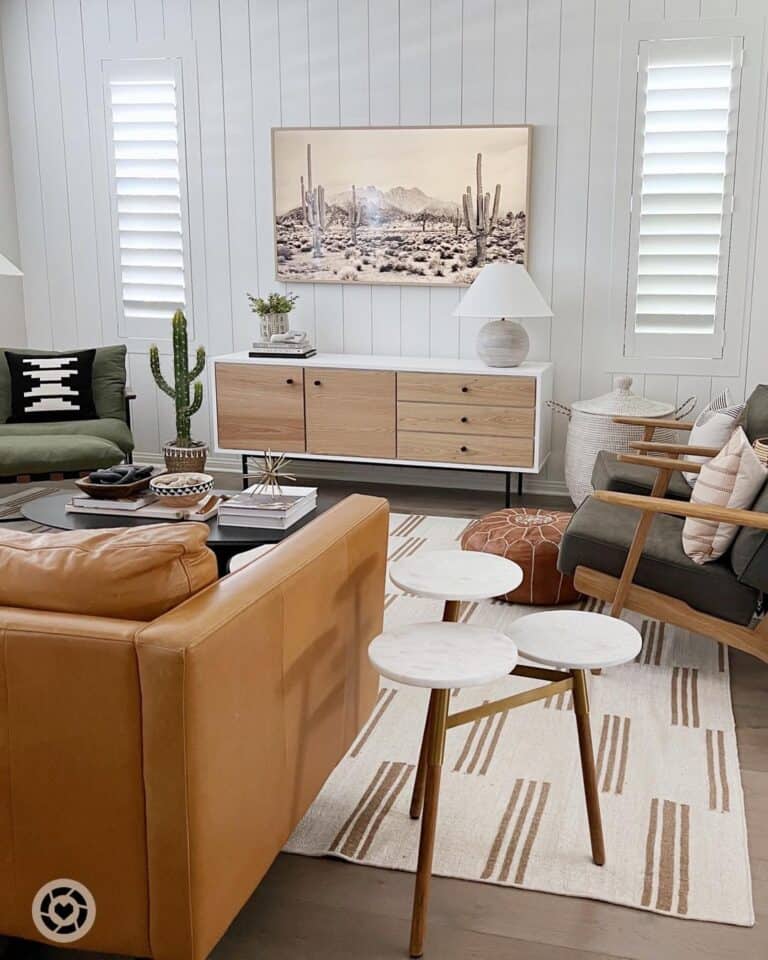 Desert Inspired Living Room