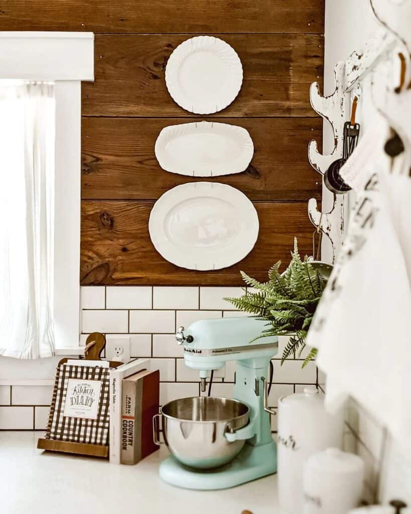 Green Fern in a Metal Pail Hangs from Rustic Wall Decor