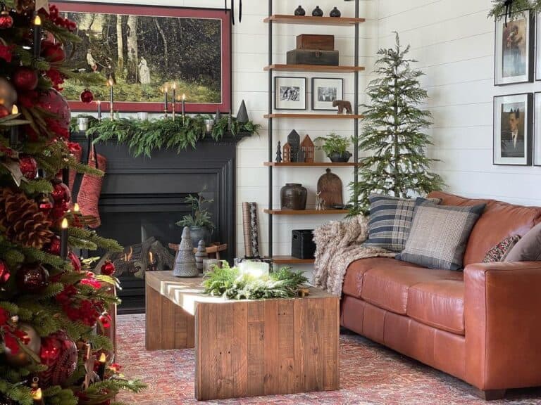 Living Room with Brown Leather Couch