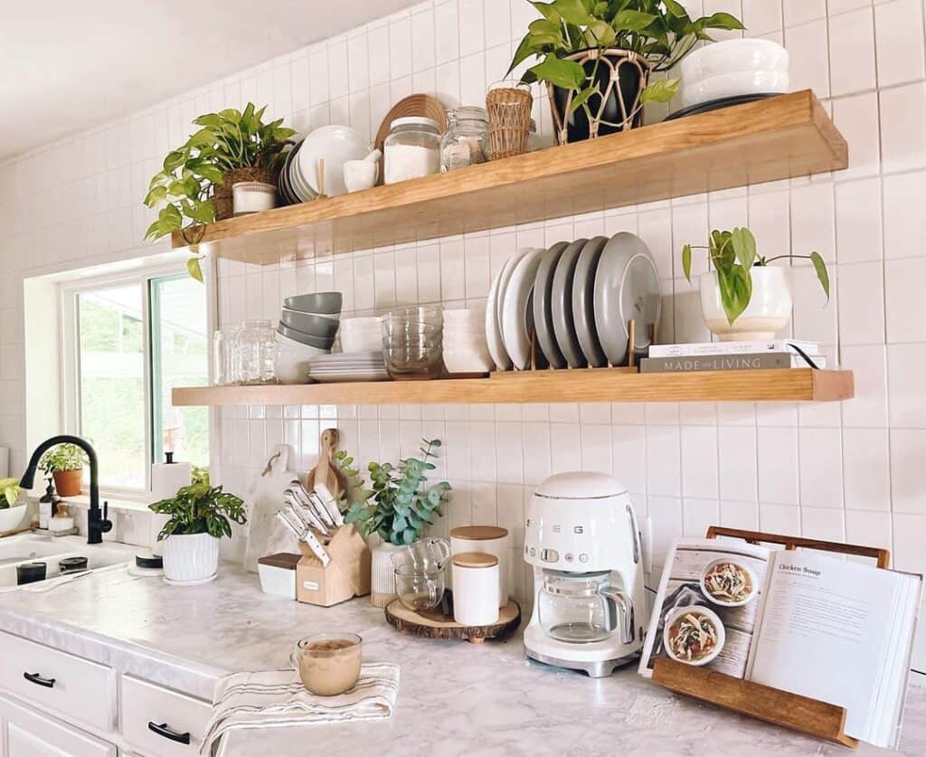 Plants and Tableware on Kitchen Shelves
