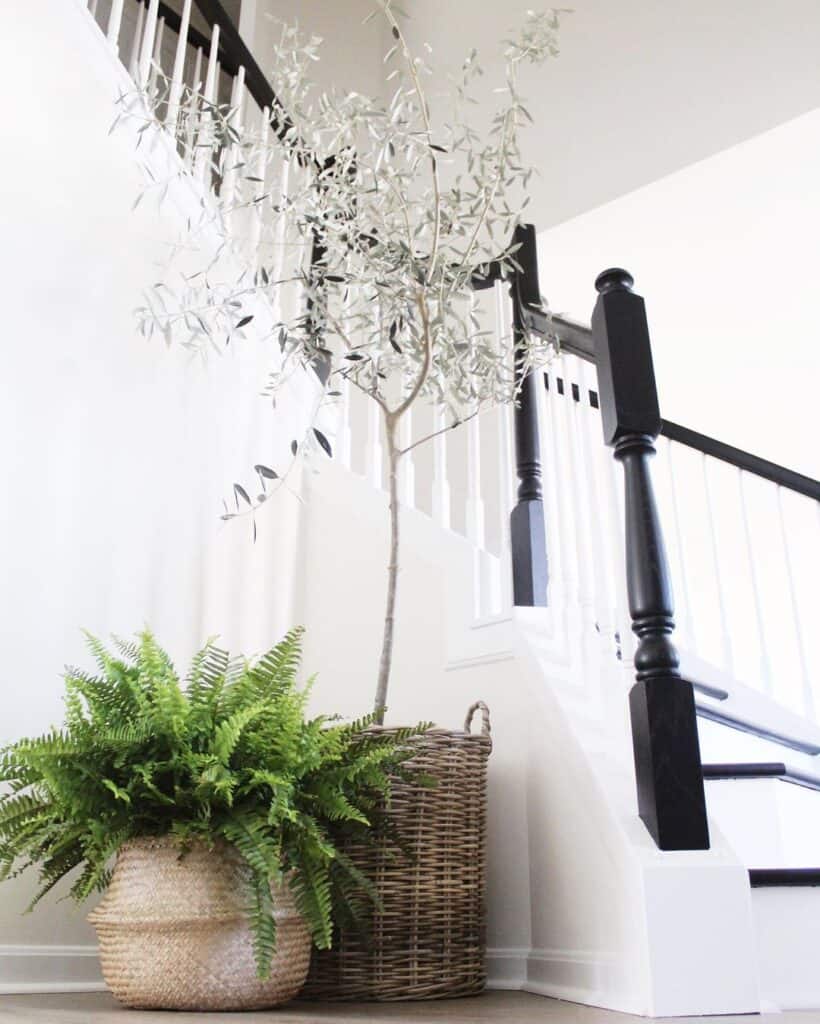 Potted Plants Next to Black and White Stairs