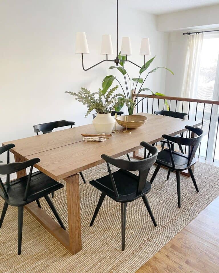 Potted Plants and Black Wood Dining Room Chairs