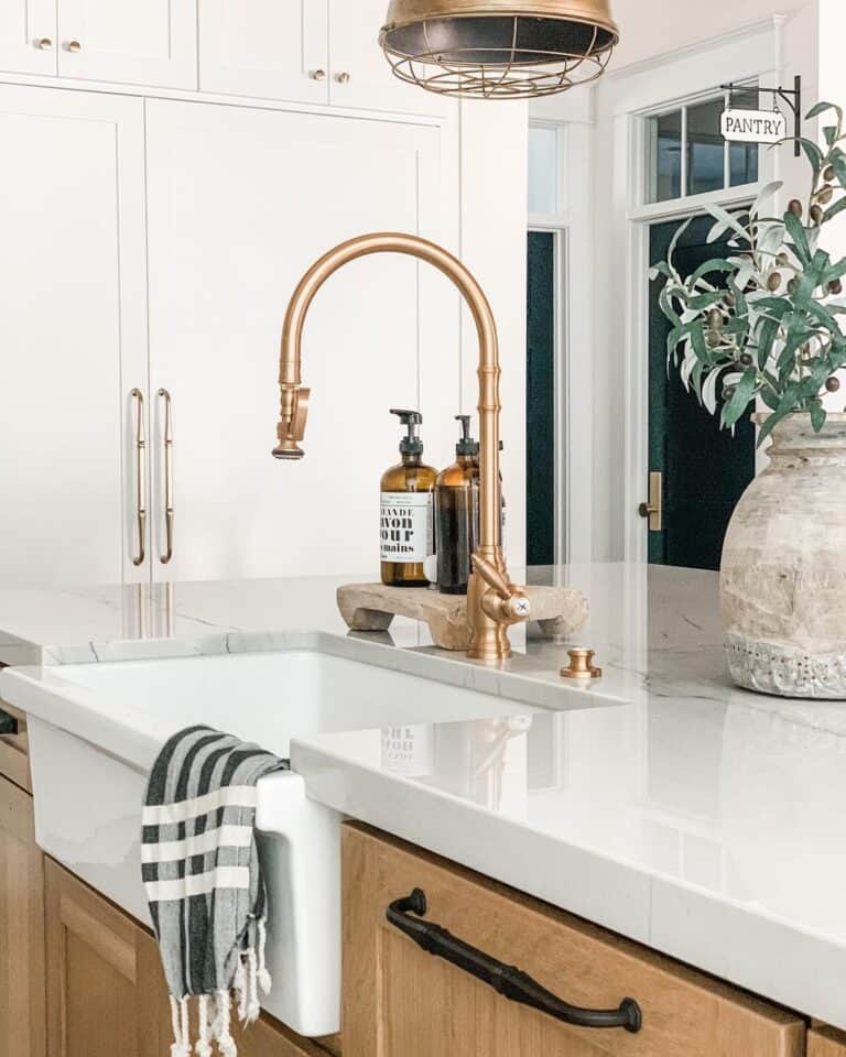 Sink with Brushed Gold Gooseneck Faucet