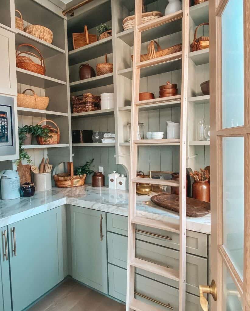 Walk In Pantry with Blond Wood Ladder