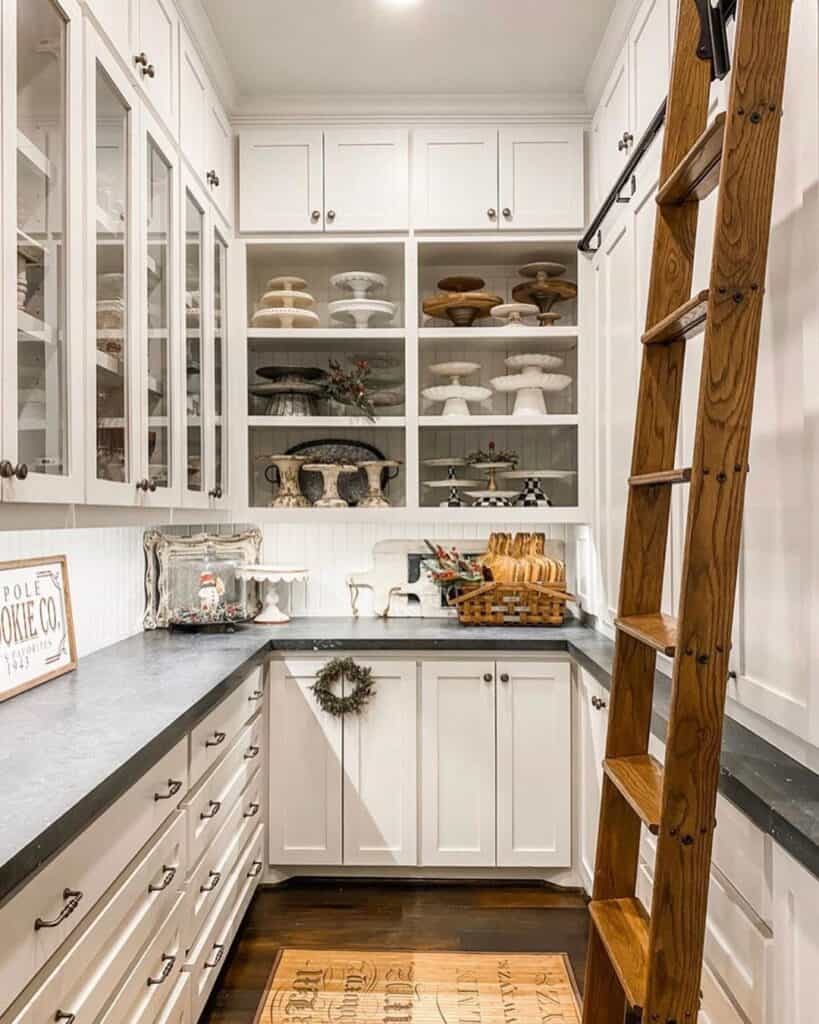 Walk In Pantry with Sliding Ladder