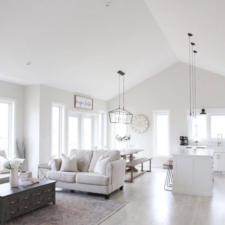 White Living Room with Vaulted Ceiling